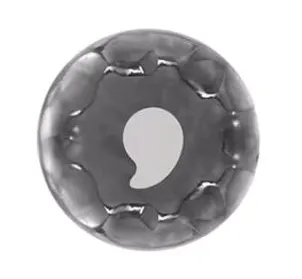 S'well Titanium Bottle